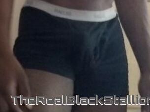 TheRealBlackStallion1