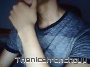Thenicefrenchguy