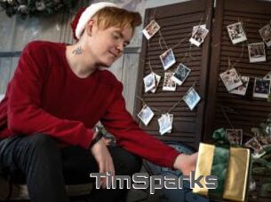 TimSparks