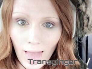 Transginger