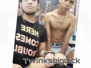 Twinksbigdick