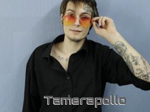 Tamerapollo