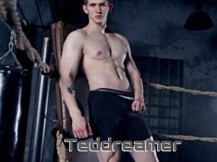 Teddreamer