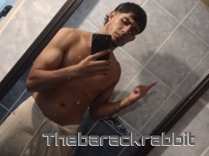 Thebarackrabbit
