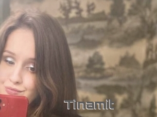 Tinamit