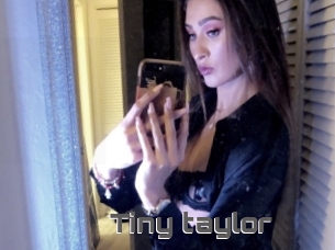Tiny_taylor