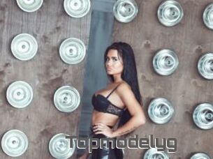 Topmodelyg