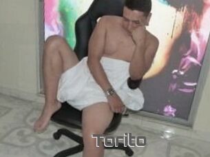 Torito