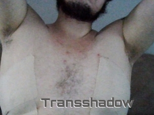 Transshadow
