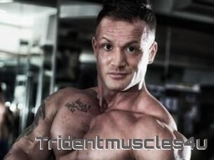 Tridentmuscles4u