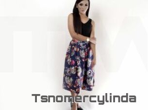 Tsnomercylinda