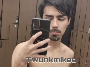 Twunkmikee