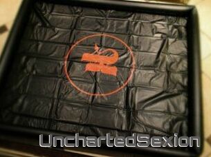 UnchartedSexion