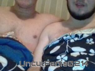 UncutPenis0214