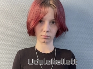Udelehallett