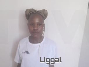 Uggal
