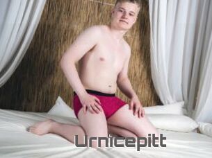 Urnicepitt