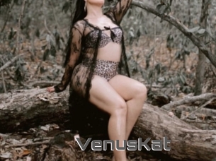 VenusKat