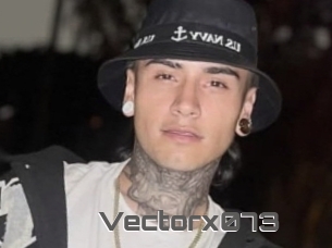 Vectorx073