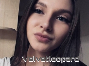 Velvetleopard