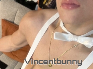 Vincentbunny