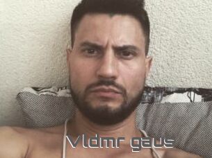 Vldmr_gaus