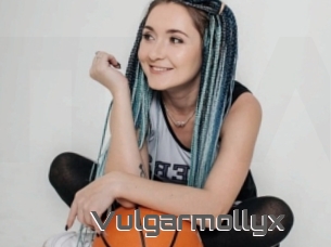 Vulgarmollyx