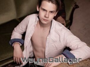 WayneGallager