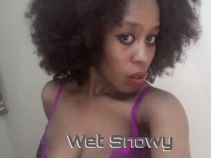 Wet_Snowy