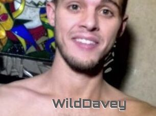 WildDavey