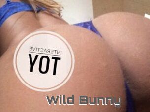 Wild_Bunny_