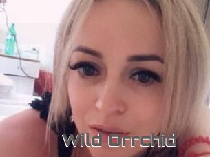 Wild_Orrchid