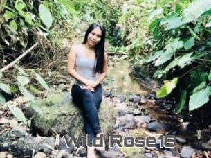 Wild_Rose18