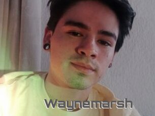 Waynemarsh
