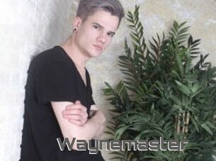 Waynemaster