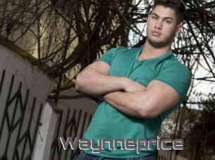 Waynneprice