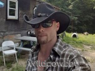 Wildcowboy