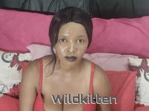 Wildkitten
