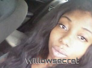 Willow_secret