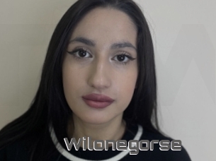 Wilonegorse