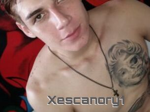 Xescanory1