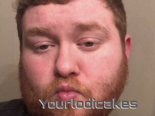 Yourlodicakes