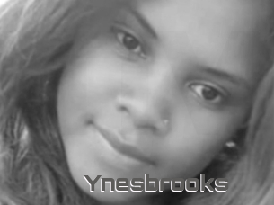 Ynesbrooks