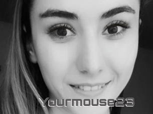 Yourmouse23
