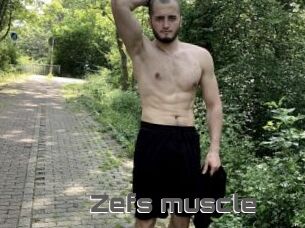 Zefs_muscle