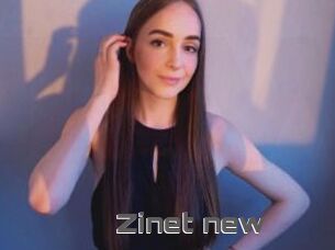 Zinet_new