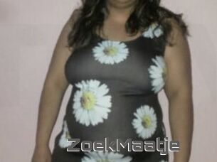 ZoekMaatje