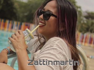 Zattinmartin